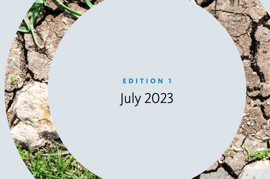 Subsidence Watch 2023 Edition 1 July 2023