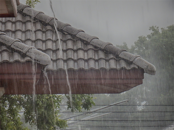 GettyImages 2160459758